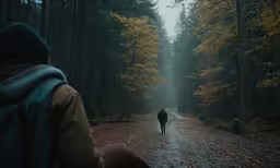 person walking down a path through a forest