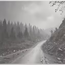 a road with trees and rocks on a hill
