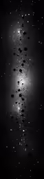 some dark blue and white space is covered with white stars