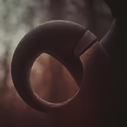 an artistic picture with a vase and a tree in the background