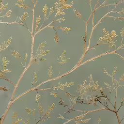 a tree that is standing in the dirt