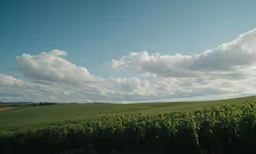 there are clouds that are over the field