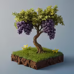 a bunch of purple grapes growing in a tree