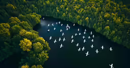 a bunch of airplanes are flying over a pond