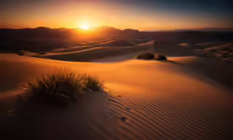 sunset over a sandy desert with low dunes and grass