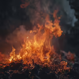 a field filled with lots of grass and yellow flames