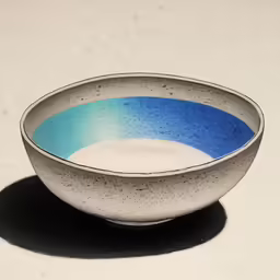 the bowl is blue and white on the ground