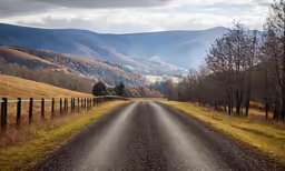 a country road in a valley with grass and trees