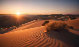 sunset in the desert with the sun shining brightly