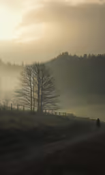 a person on a motorcycle driving down a trail