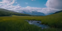a stream in the mountains by a field