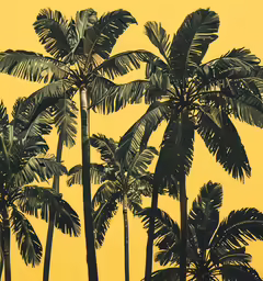 four palm trees silhouetted against a vibrant yellow sky