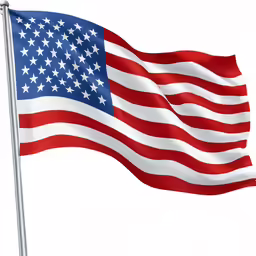 a flag with four pointed stars flying in the wind
