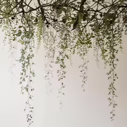 a branch and leaves hanging from a wall
