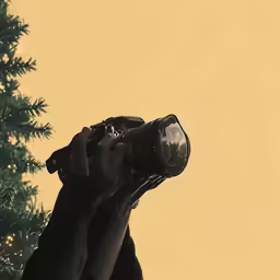 someone holding up a camera to take a picture of a fir tree