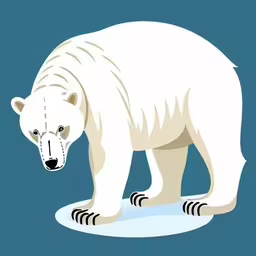 a polar bear standing on a melting snow strip,an image of a polar bear walking across the ice,a bear is standing on an ice floet,the polar bear is very large and has no fur,a large polar bear is standing on ice