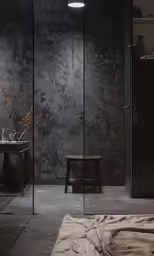 a modern home in dark colors with no people around