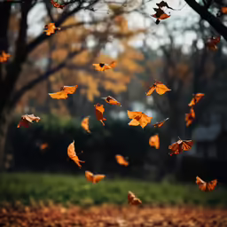 a group of orange leaves blowing in the air