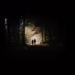 two people walking through the middle of a forest