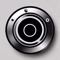 a silver plate with black and white circles on it