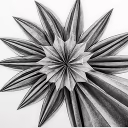 the star shaped pattern in black and white