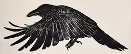 black bird drawn in ink on an antique book,a bird with its wings spread and a body of water near it