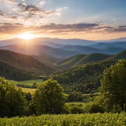 a scenic view of a valley in the mountains