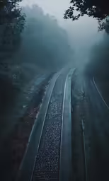 a train track runs through the mistgy forest