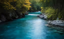 blue and green river flowing through a wooded area