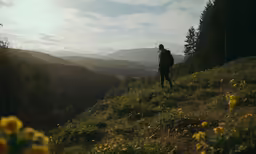 a person walking on a grassy hill in the mountains