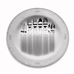 a fork and some knives in a plate
