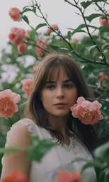 an artistic picture of a woman surrounded by pink roses