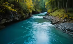 a river running through a forest filled with trees