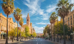 palm trees lining the sidewalk of an empty street