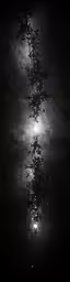 a dark, cloudy picture of trees reflected in the water