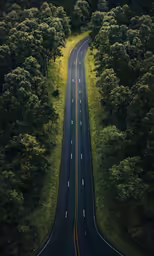 a long winding highway surrounded by trees