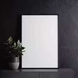 black and white photograph of an empty picture frame with potted plant