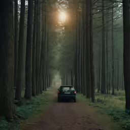 a car is parked on a path through the woods