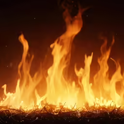 this photo shows a fire that is in a field