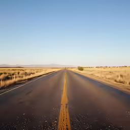 an empty road stretches into the distance across dry grass