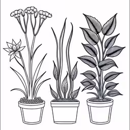 three different types of plants on display in pots,the three types of plants in each pot are shown