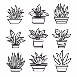 the set of potted houseplants, with various shapes and colors