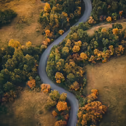 aerial photo of winding road in the autumn
