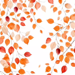 leaves are in the air over white background