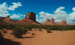 a wide open area with some trees and rocks