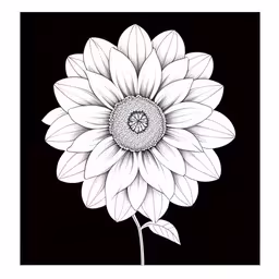 the black and white flower is in the middle of the drawing,a sunflower in black and white on a dark background
