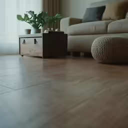 an ottoman and a plant on the ground
