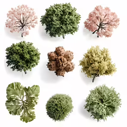 a set of nine colored flowers on a white background