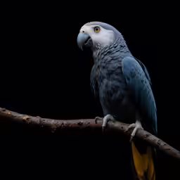 a blue and yellow parrot perched on a tree branch