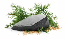a rock with pine needles and pine nuts